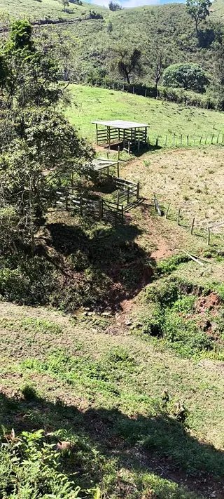 Foto 9 de Chácara em Delfim Moreira — 19.000 m²