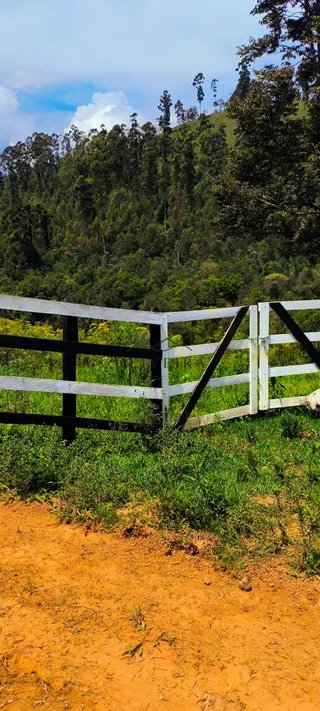 Foto 8 de Natureza, tranquilidade e a oportunidade de ter seu próprio espaço no campo!