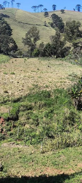 Foto 5 de Chácara em Delfim Moreira — 19.000 m²