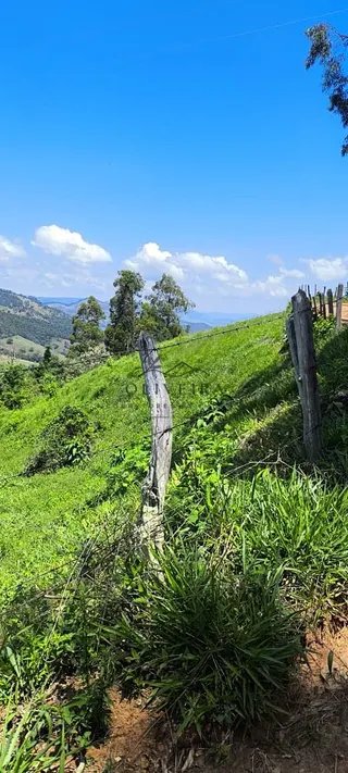 Foto 16 de Chácara em Delfim Moreira — 4.500 m²