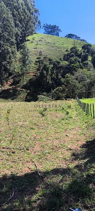 Foto 10 de Chácara em Delfim Moreira — 19.000 m²