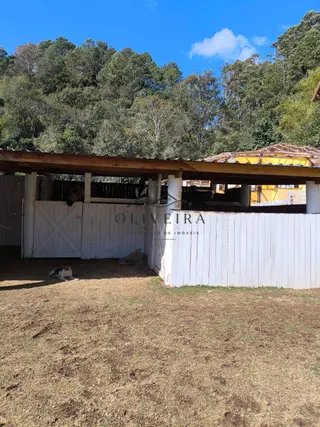 Foto 20 de Propriedade rural em Delfim Moreira, a apenas 3km do centro da cidade.