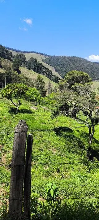 Foto 20 de Chácara em Delfim Moreira — 4.500 m²