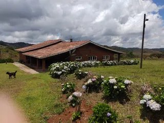 Foto 86 de Fazenda Cadima — 192 Hectares com Águas Abundantes