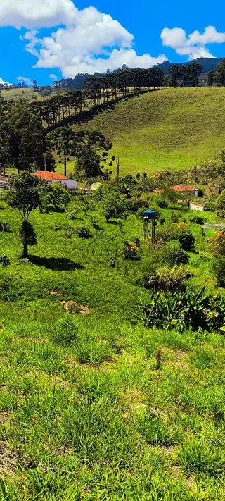 Foto 14 de Chácara em Delfim Moreira — 4.500 m²