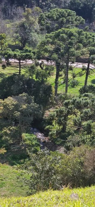 Foto 6 de Chácara de 1.400 m² (2 unidades disponíveis)