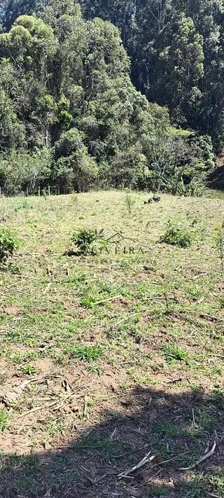 Foto 13 de Chácara em Delfim Moreira — 19.000 m²