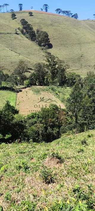 Foto 6 de Chácara em Delfim Moreira — 19.000 m²