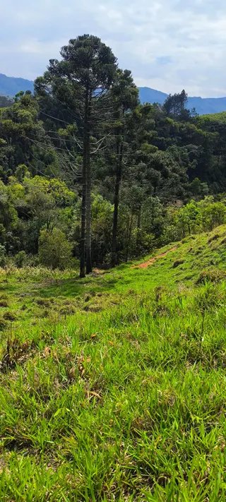 Foto 8 de Natureza, tranquilidade e água própria a apenas 5 minutos do centro!