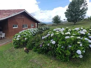 Foto 83 de Fazenda Cadima — 192 Hectares com Águas Abundantes