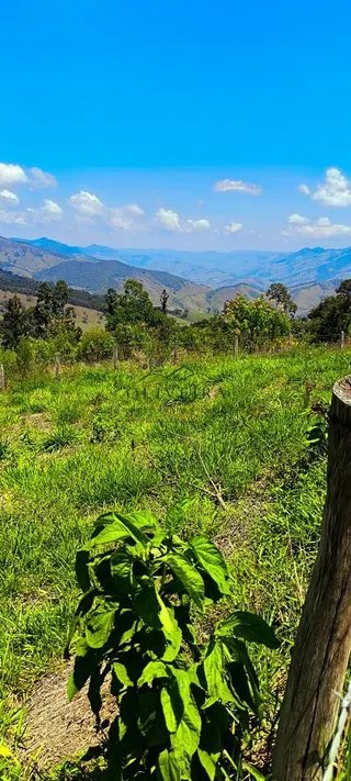 Foto 11 de Chácara em Delfim Moreira — 4.500 m²