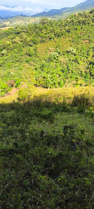 Foto 6 de Natureza, água própria e tranquilidade a apenas 1,5 km da cidade!