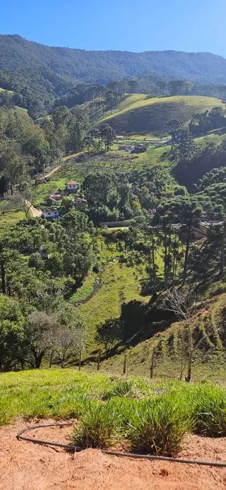 Foto 4 de Chácara de 2.100 m² (3 unidades disponíveis)