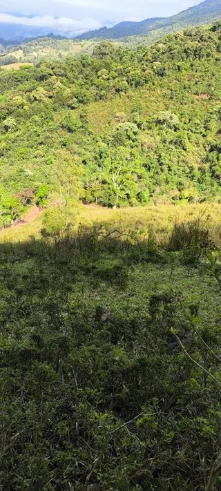 Foto 4 de Gleba com Vista Panorâmica — 6.700 m² (6 lotes disponíveis)