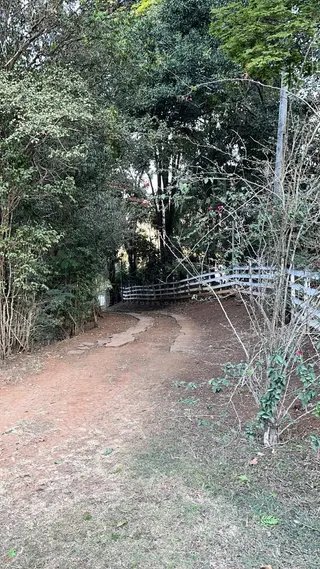 Foto 3 de Chácara no Bairro Mato Dentro de Cima — 10.000 m²