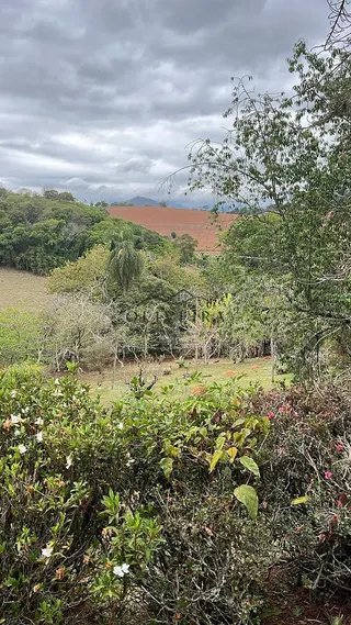 Foto 5 de Sítio em Piranguinho — Parte de Baixo com Casa e Piscina, 5 Hectares