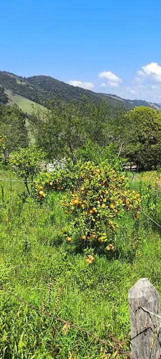 Foto 2 de Chácara em Delfim Moreira — 4.500 m²