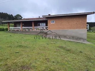 Foto 13 de Fazenda Cadima — 192 Hectares com Águas Abundantes