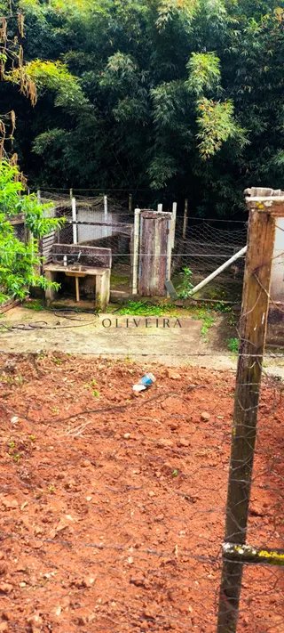 Foto 4 de Conforto, espaço e tranquilidade a apenas 2 minutos do centro!