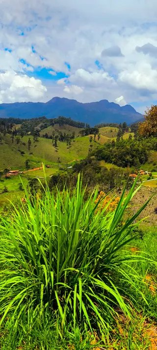 Foto 6 de SEU REFÚGIO DOS SONHOS ESTÁ AQUI! Terreno Plano e Pronto para Construir