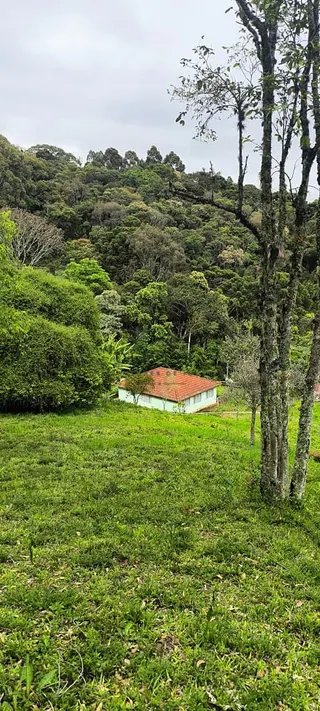 Foto 7 de Chácara no Bairro Gois — 18.000 m² com Casa