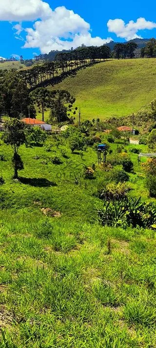 Foto 6 de Chácara em Delfim Moreira — 4.500 m²
