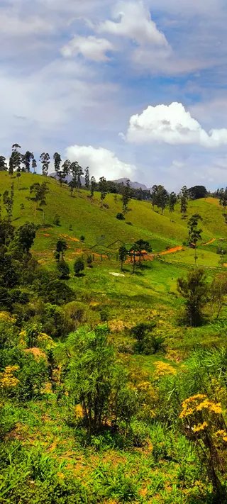 Foto 10 de Natureza, tranquilidade e a oportunidade de ter seu próprio espaço no campo!