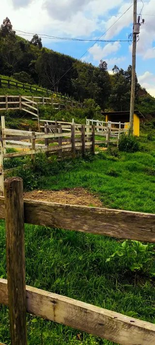Foto 9 de Seu pedaço de tranquilidade no Sul de Minas está aqui!