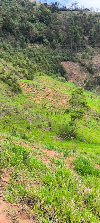 Foto 3 de Natureza, tranquilidade e água própria a apenas 5 minutos do centro!