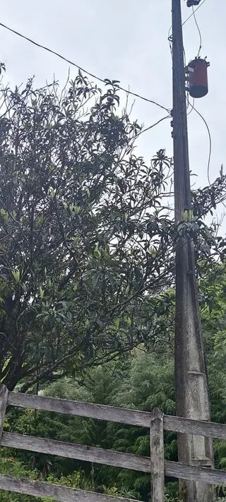 Foto 21 de Chácara no Bairro Gois — 18.000 m² com Casa