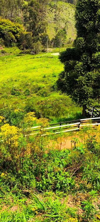 Foto 12 de Natureza, tranquilidade e a oportunidade de ter seu próprio espaço no campo!