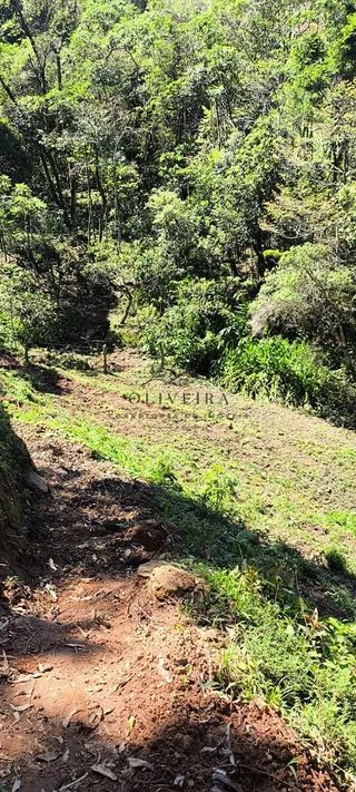 Foto 16 de Chácara em Delfim Moreira — 19.000 m²
