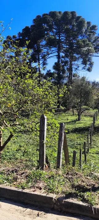 Foto 1 de O terreno onde seu próximo projeto começa