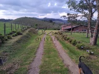 Foto 81 de Fazenda Cadima — 192 Hectares com Águas Abundantes