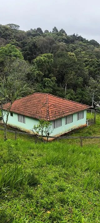 Foto 4 de Chácara no Bairro Gois — 18.000 m² com Casa