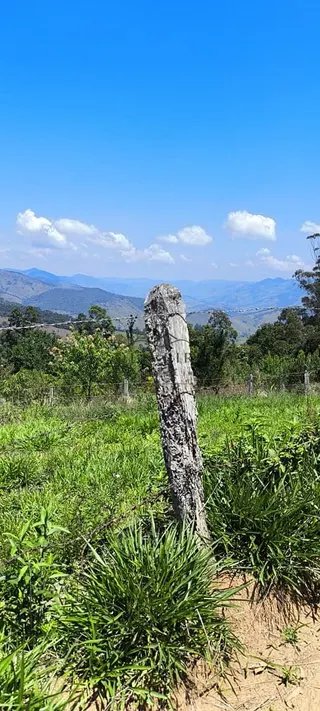 Foto 15 de Chácara em Delfim Moreira — 4.500 m²
