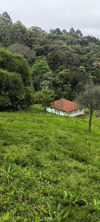 Foto 19 de Chácara no Bairro Gois — 18.000 m² com Casa