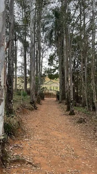 Foto 8 de Sítio em Piranguinho — Parte de Baixo com Casa e Piscina, 5 Hectares