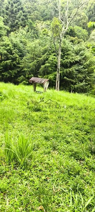 Foto 5 de Chácara no Bairro Gois — 18.000 m² com Casa