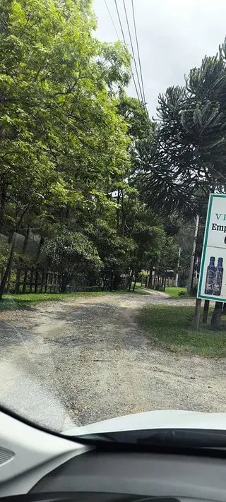 Foto 5 de Propriedade Rural em Delfim Moreira — 20 Hectares