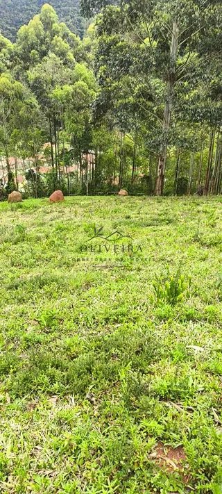 Foto 17 de Chácara no Bairro Gois — 18.000 m² com Casa