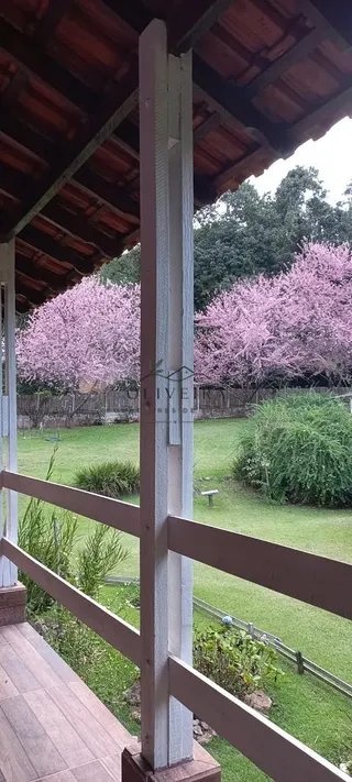 Foto 4 de Chácara no Bairro São Pedro — 10.000 m² (duas casas)