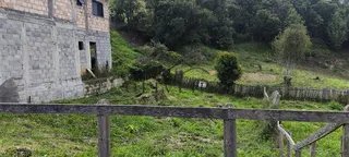 Foto 3 de O começo de uma nova história pode estar aqui