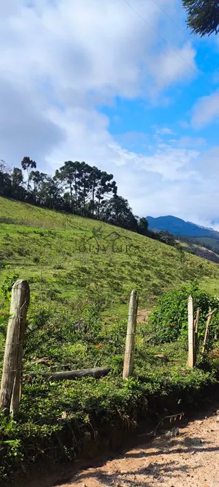 Foto 8 de Natureza, água própria e tranquilidade a apenas 1,5 km da cidade!