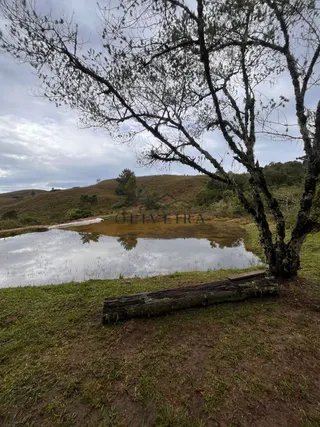 Foto 88 de Fazenda Cadima — 192 Hectares com Águas Abundantes