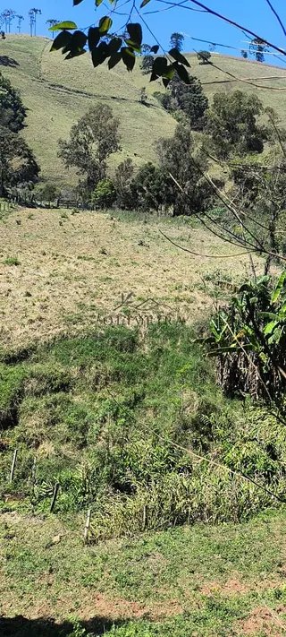 Foto 11 de Chácara em Delfim Moreira — 19.000 m²