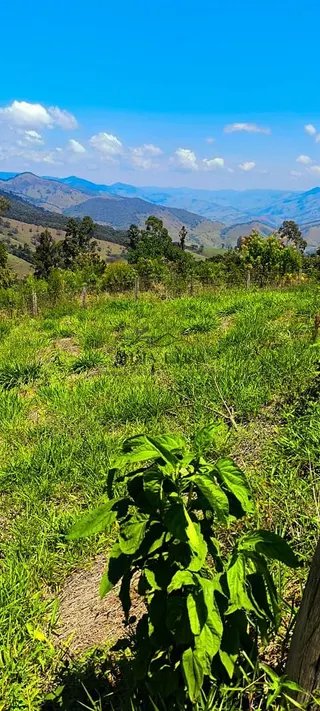 Foto 8 de Chácara em Delfim Moreira — 4.500 m²