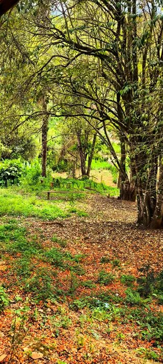 Foto 20 de Conforto, espaço e tranquilidade a apenas 2 minutos do centro!