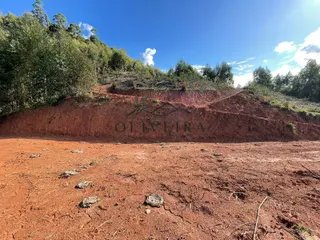 Foto 16 de Chácara em Delfim Moreira — 20.000 m²