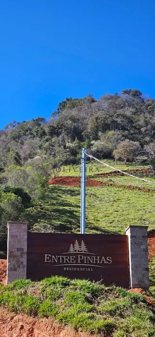 Foto 9 de Chácara de 1.400 m² (2 unidades disponíveis)